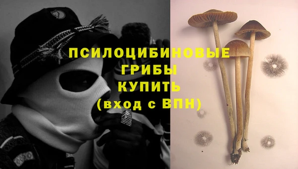 соль курить ск Осинники