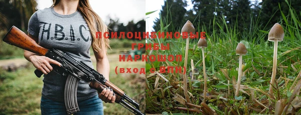 apvp Остров