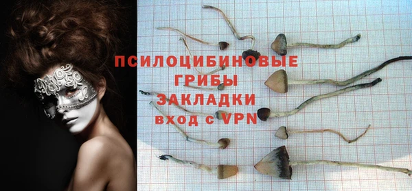 apvp Остров