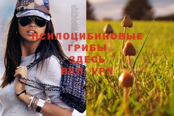 apvp Остров
