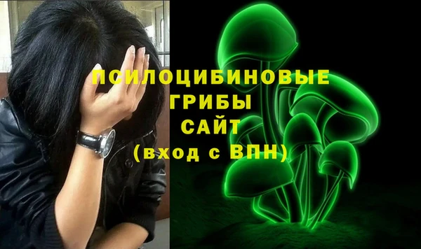соль курить ск Осинники